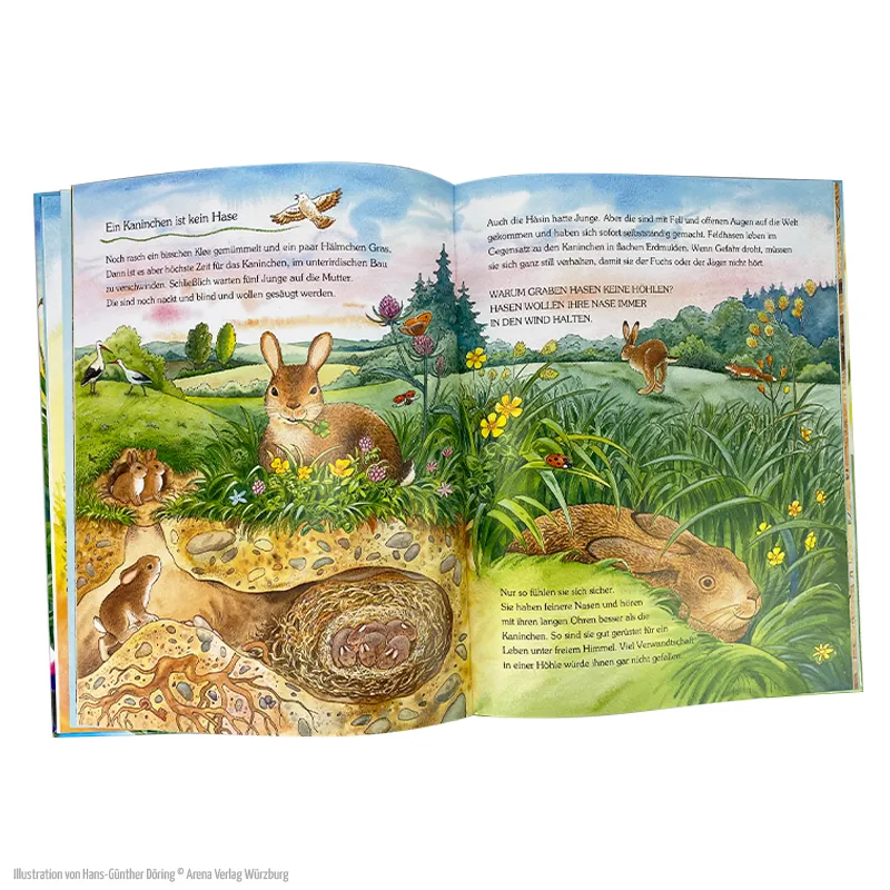 Eine Geschichte mit vielen Sachinformationen – Der kleine Marienkäfer und die Tiere auf der Wiese