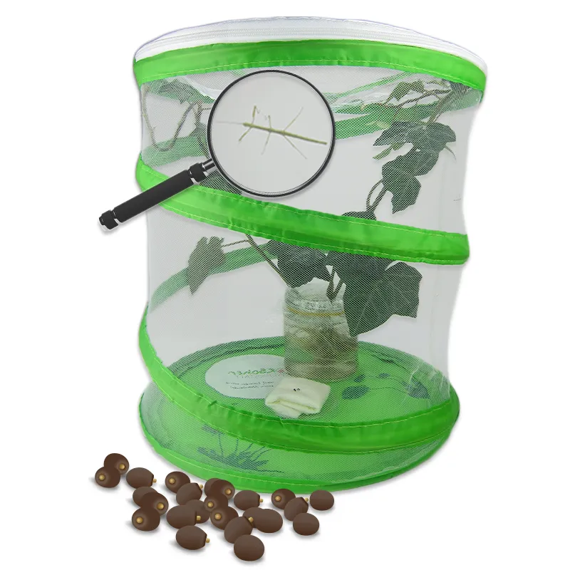 Hagemann Gruppenprojektset Stabschrecken