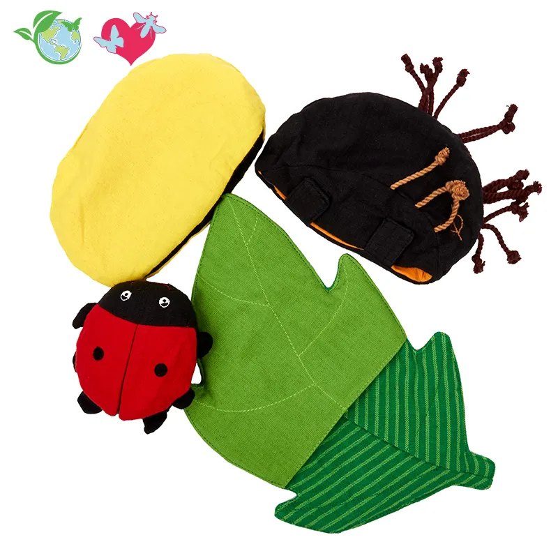 Wendepuppe Lebenszyklus Marienkäfer, 4-tlg 