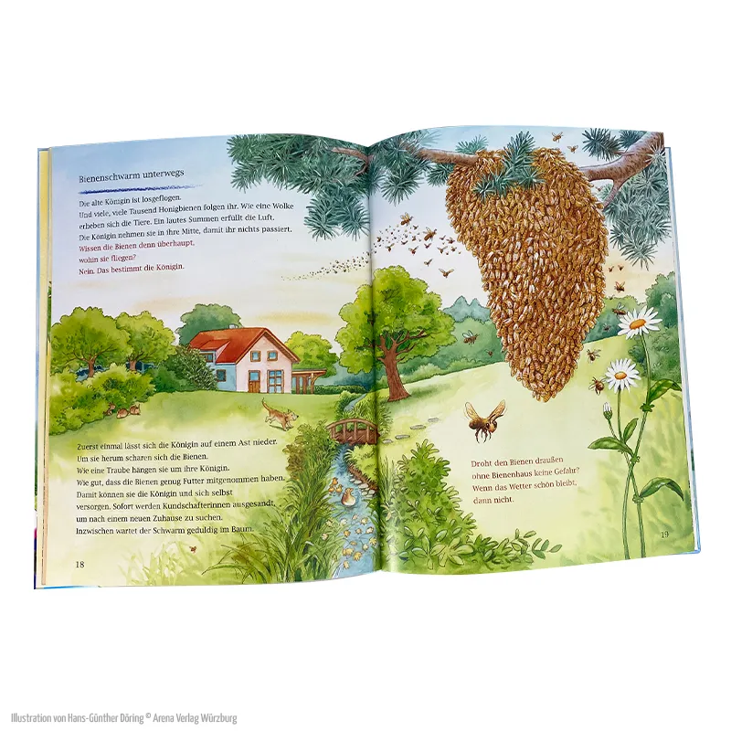 Eine Geschichte mit vielen Sachinformationen – Wohin fliegst du, kleine Honigbiene?