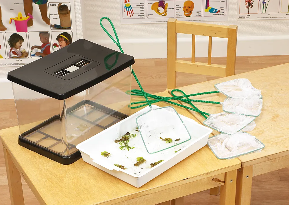 Teichkescher (5 Stück)