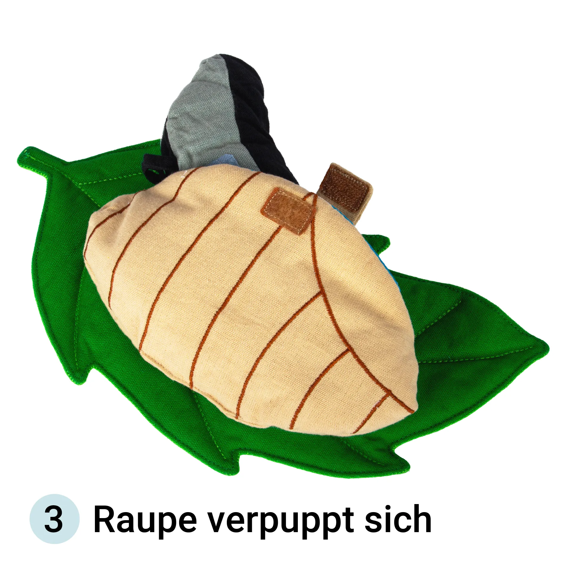 Stoffmodell Lebenszyklus Schmetterling (3-tlg.)