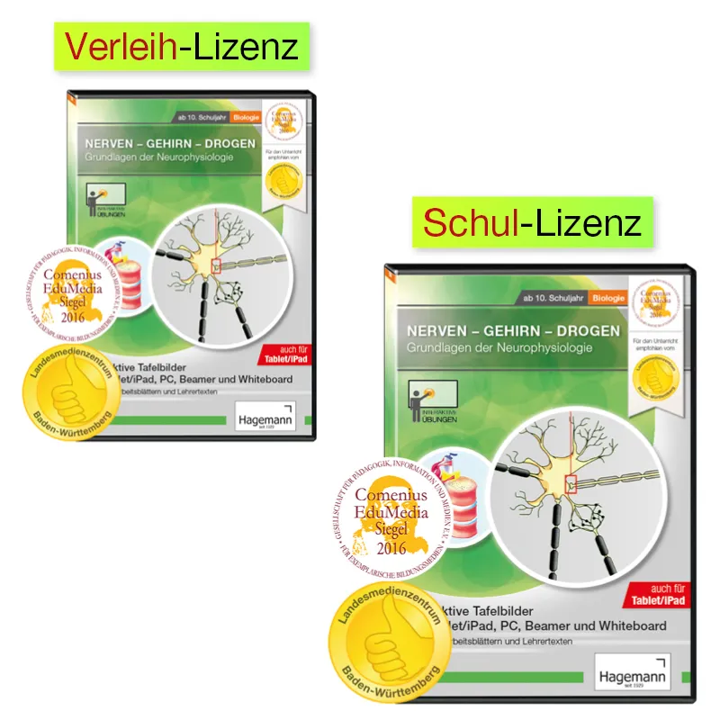 Interaktive Tafelbilder Nerven-Gehirn-Drogen (tabletfähig)