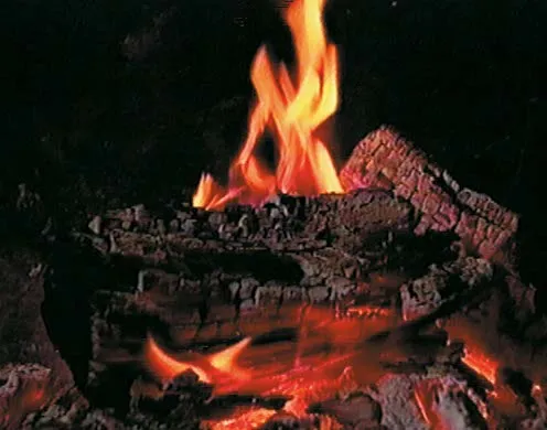 DVD-Lehrfilm Kohlenstoff - Ein natürlicher Kreislauf