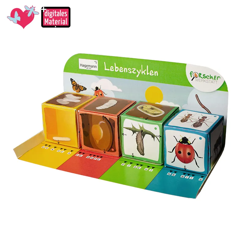 Hagemann Lernspiel-Würfel "Lebenszyklus Schmetterlinge & Co.", 5-tlg.