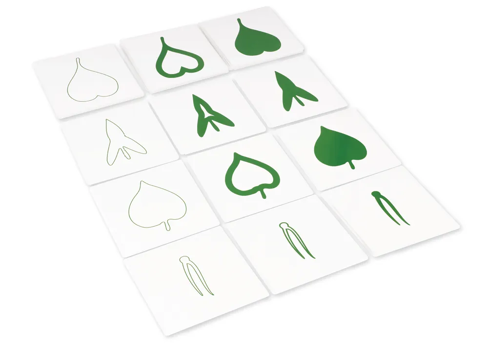 TimeTEX Botanischer Kartensatz "Montessori Premium"