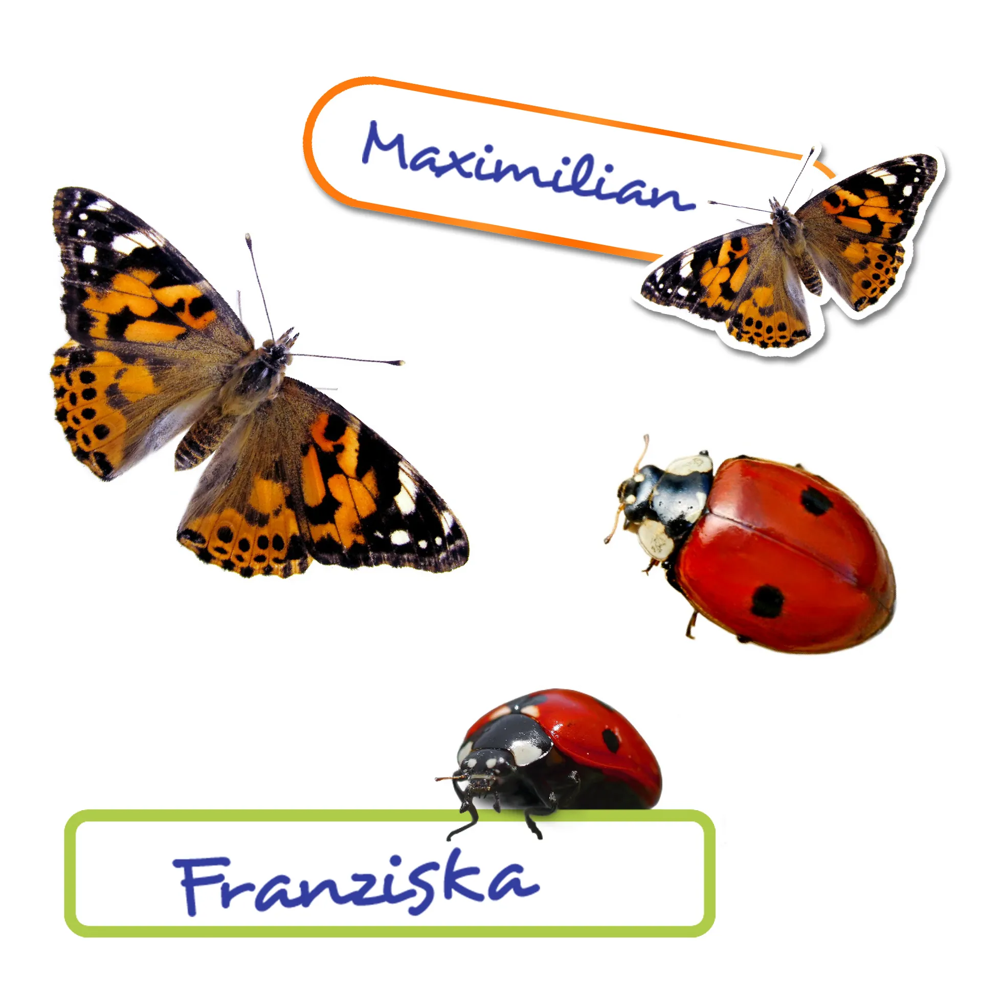 Hagemann Aufkleber-Set Schmetterlinge & Co. 