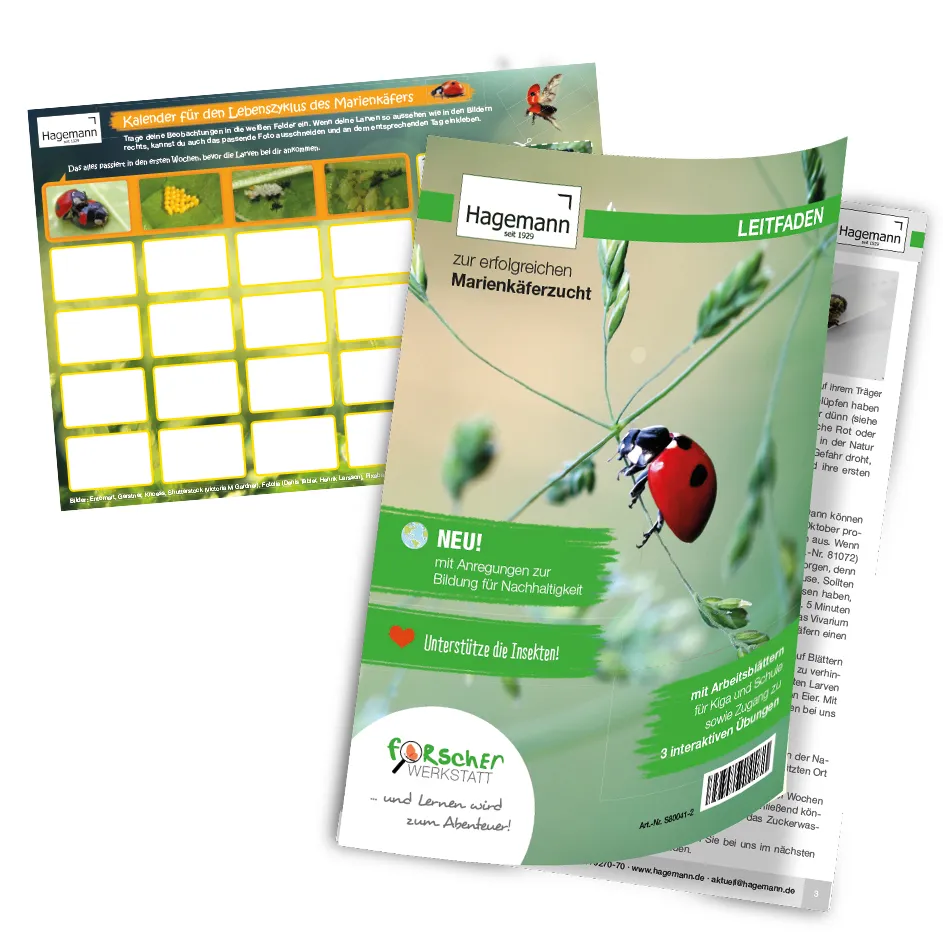 Hagemann Gruppenprojektset Marienkäfer (30-45 Larven)