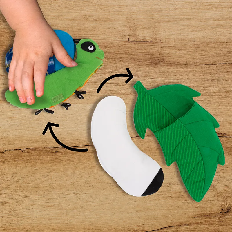 Stoffmodell Lebenszyklus Schmetterling (3-tlg.)