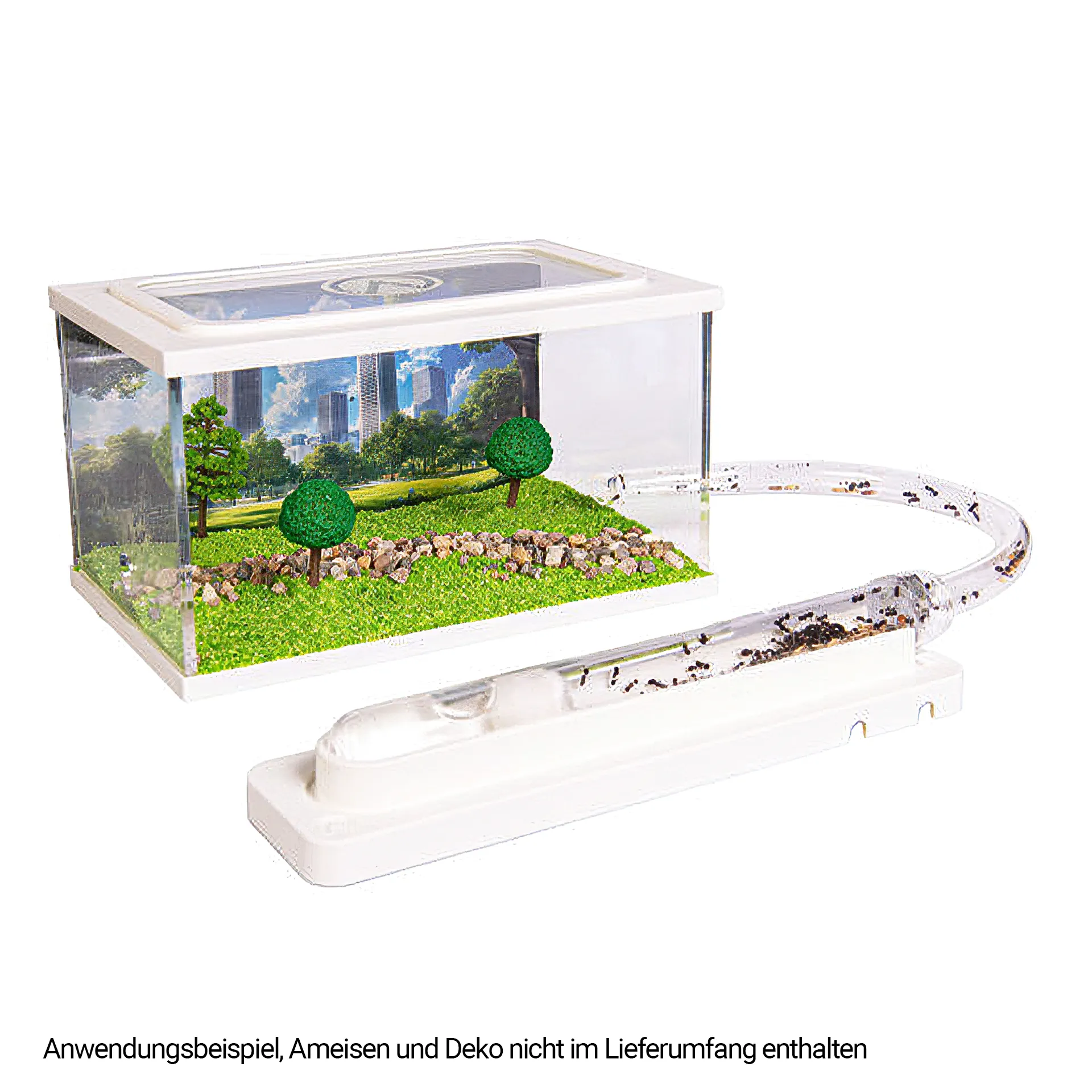 Hagemann Formicarium für Ameisenstaat