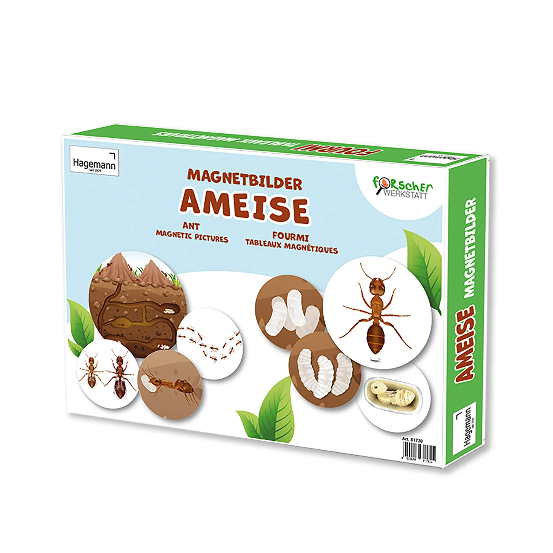 Hagemann Magnetbilder Leben und Lebenszyklus der Ameise