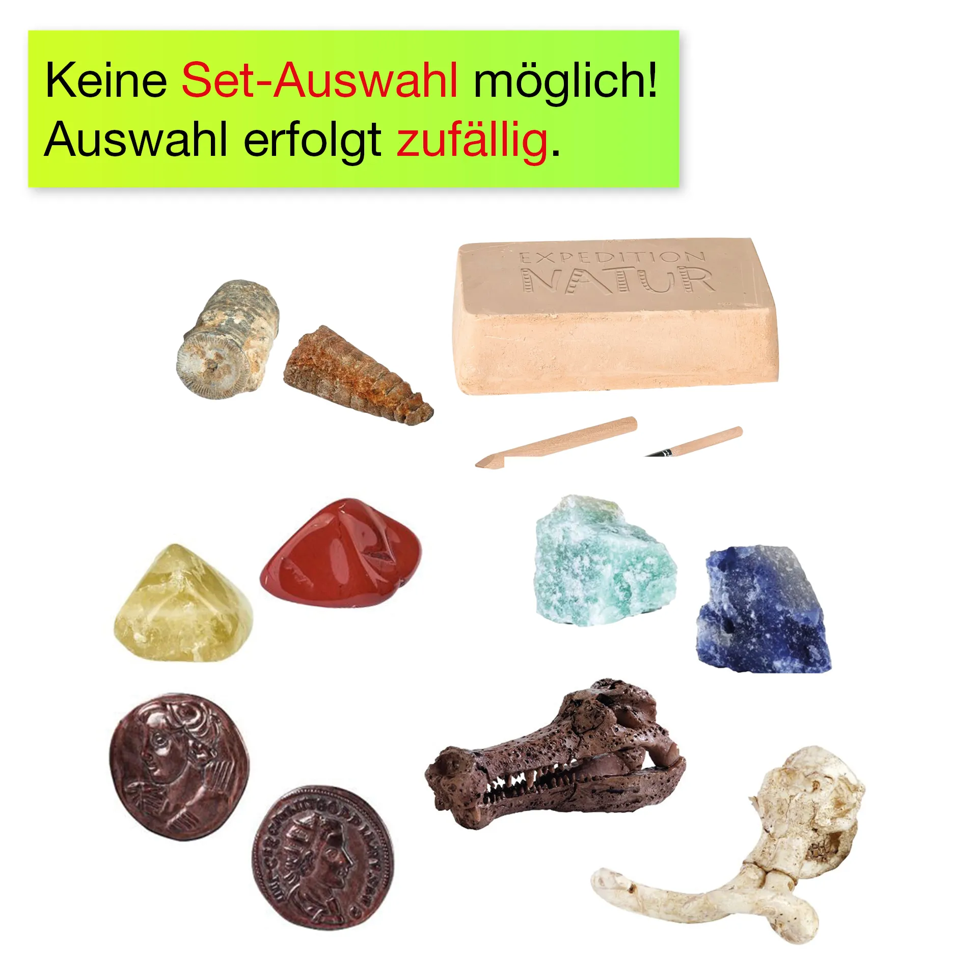 Ausgrabungs-Set "Schatzsuche", klein