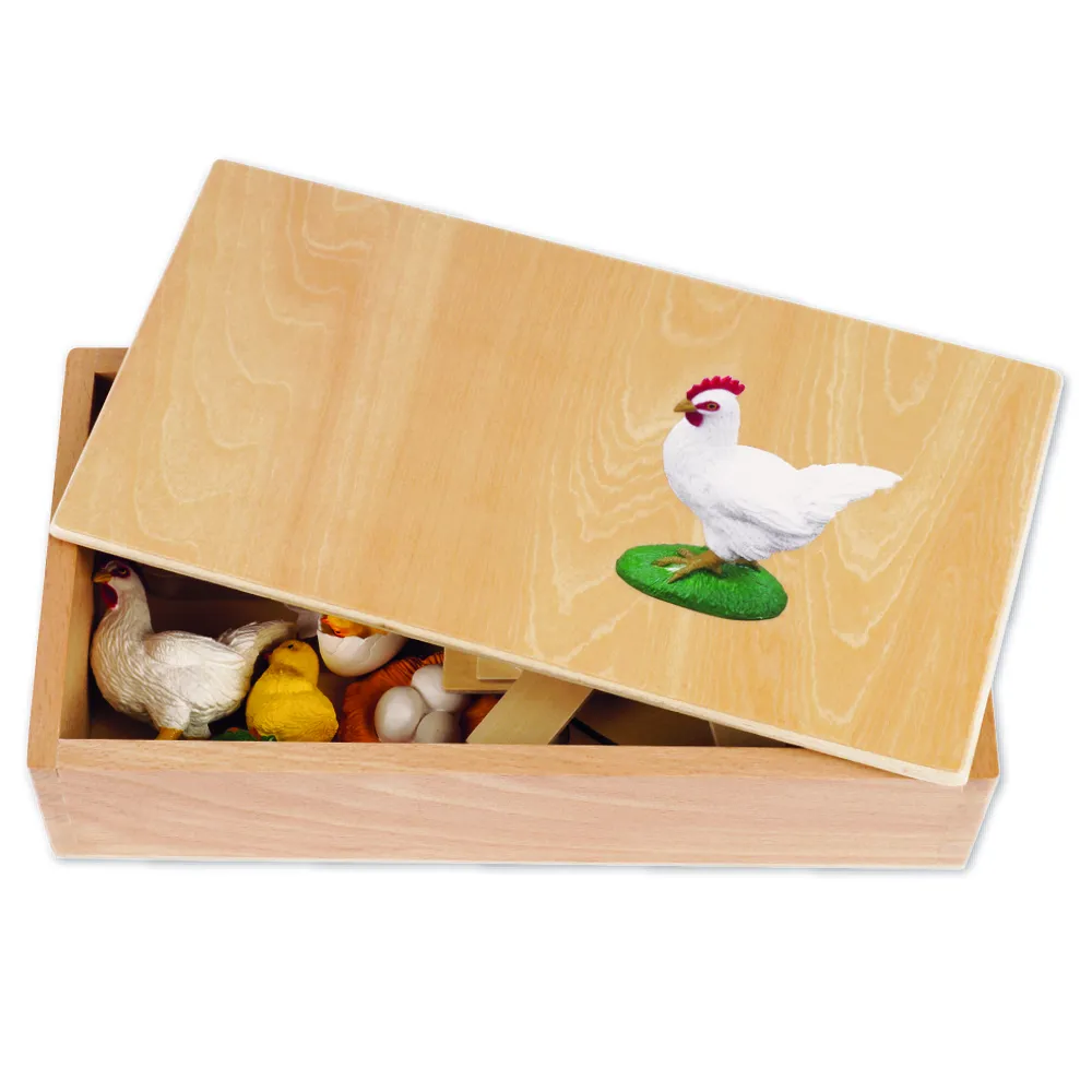TimeTEX Lebenszyklus eines Huhns, in Holzbox "Montessori Premium"