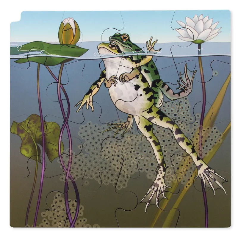 Schichten-Puzzle "Frosch" + gratis APP, 86-tlg.
