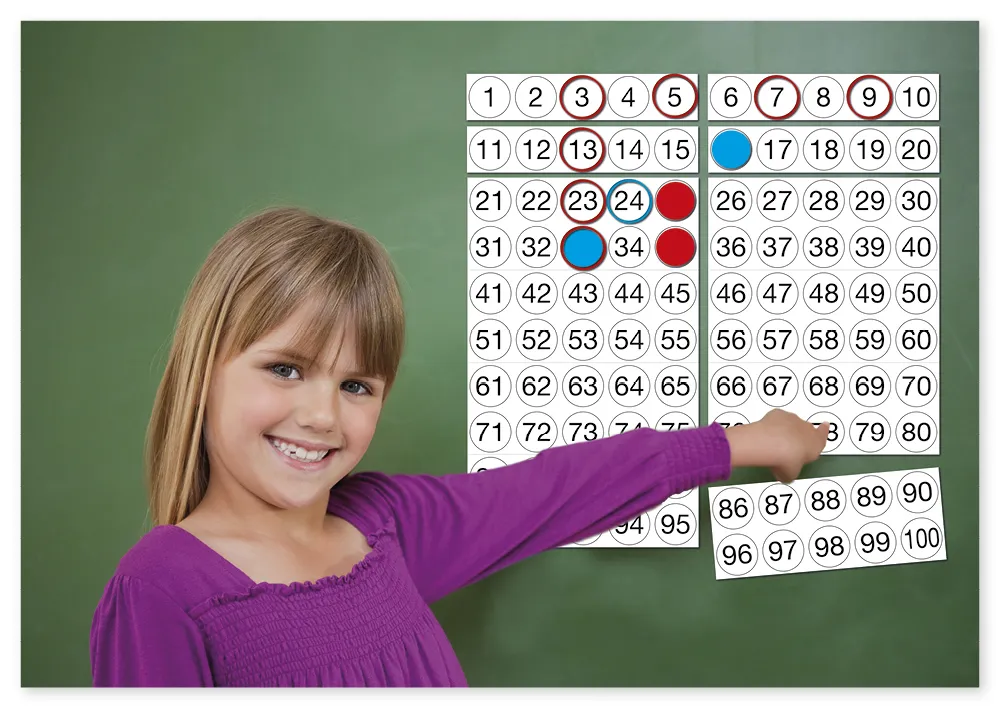 Hunderter-Tafel, magnetisch, ca. 60x60 cm, 92-tlg.