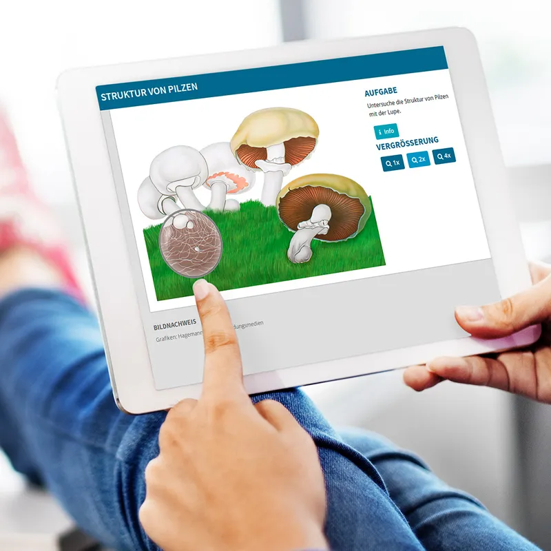 Hagemann Pilz-Zuchtset Champignon (braun)