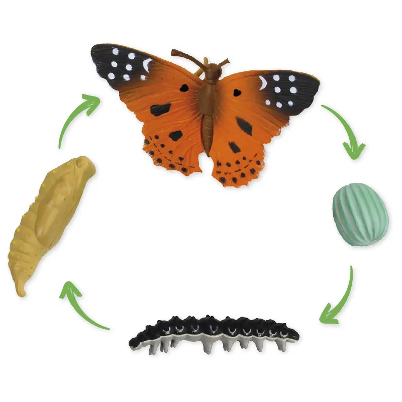 Klassenprojektset Tiere züchten und beobachten