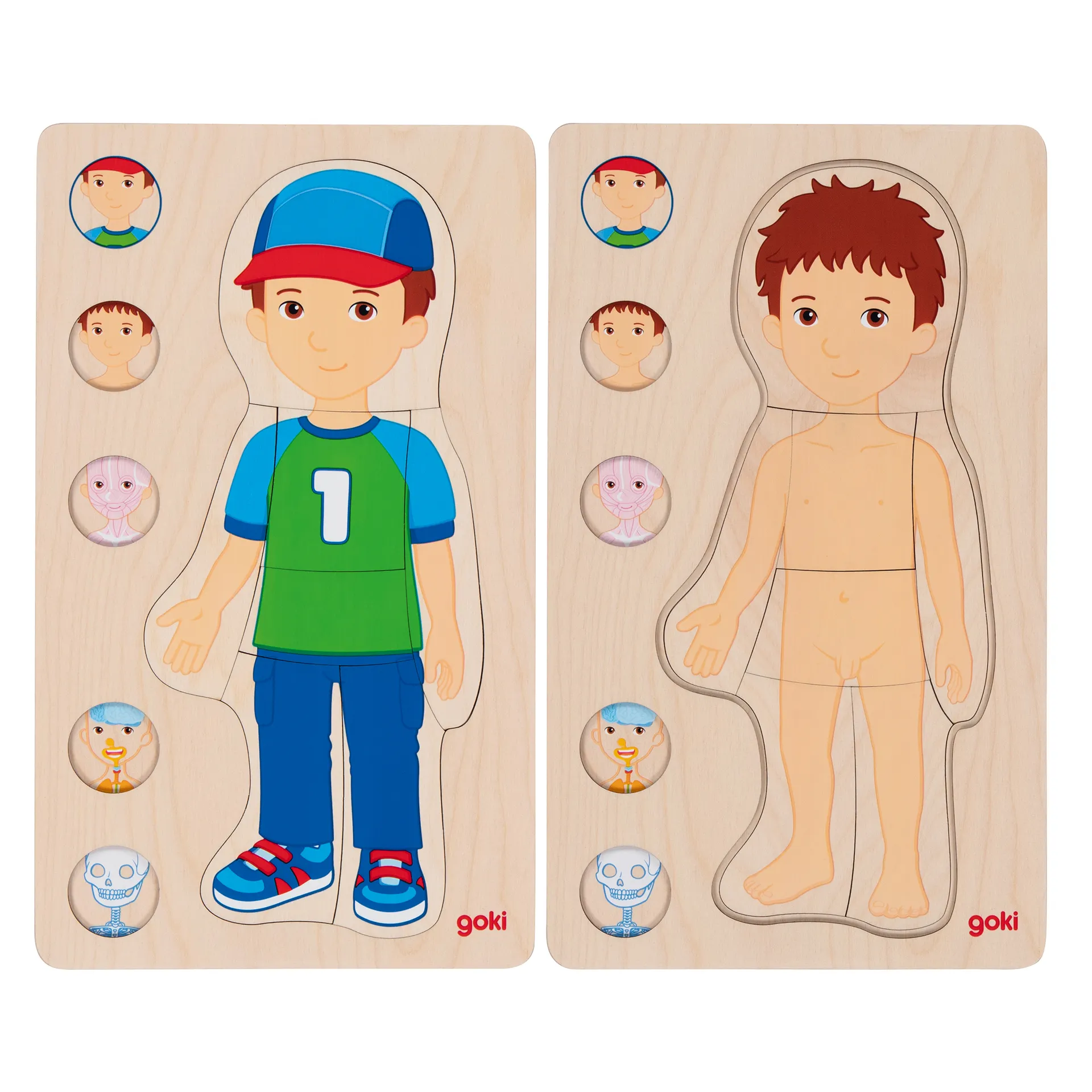 Schichtenpuzzle Anatomie Junge