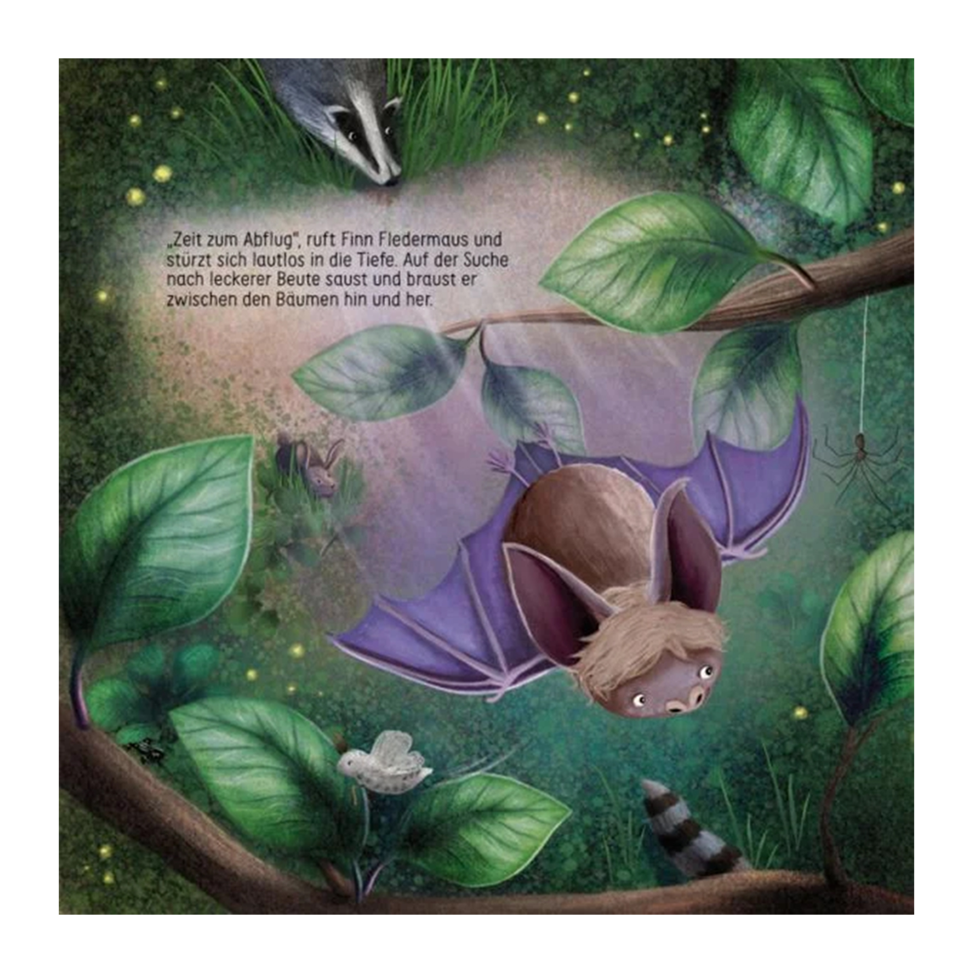 Finn Fledermaus und das Blenden in der Nacht