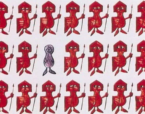 DVD-Lehrfilm Abenteuer genetischer Code