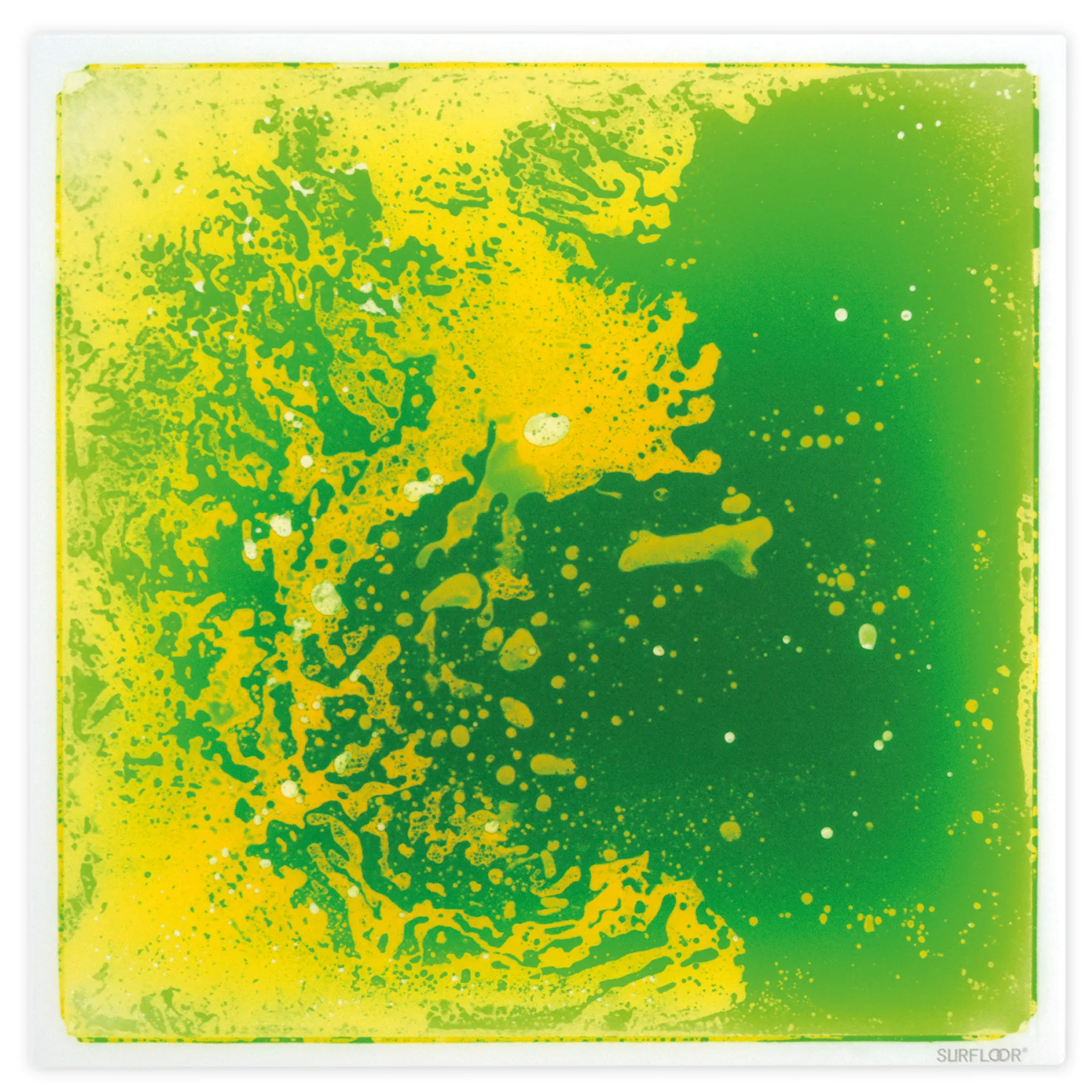 Set Faszinationsmatten, 6 Stück