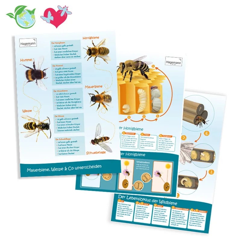 Sparset Bienenposter, 3-tlg.