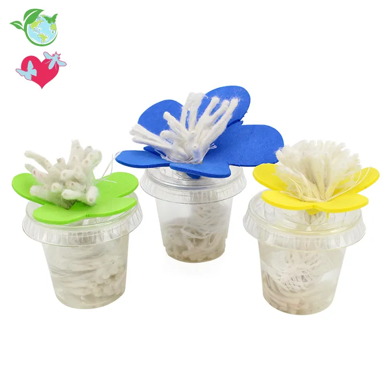 Schmetterlings-Futterstation (3 Futterplätze)