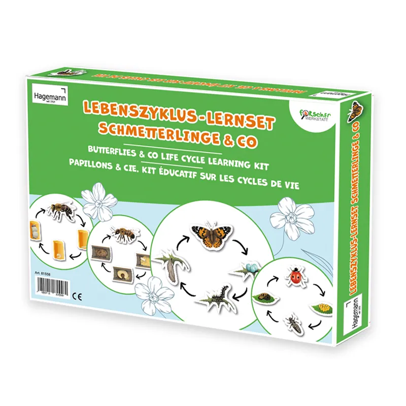 Lebenszyklus-Lernset Schmetterlinge & Co