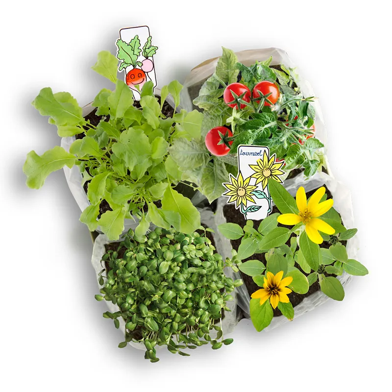 Taschenpflanzset, 4er Set