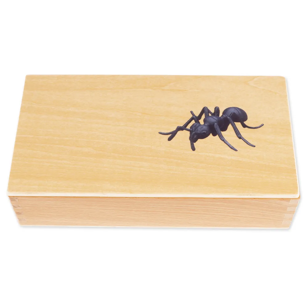 TimeTEX Lebenszyklus einer Ameise, in Holzbox "Montessori Premium"