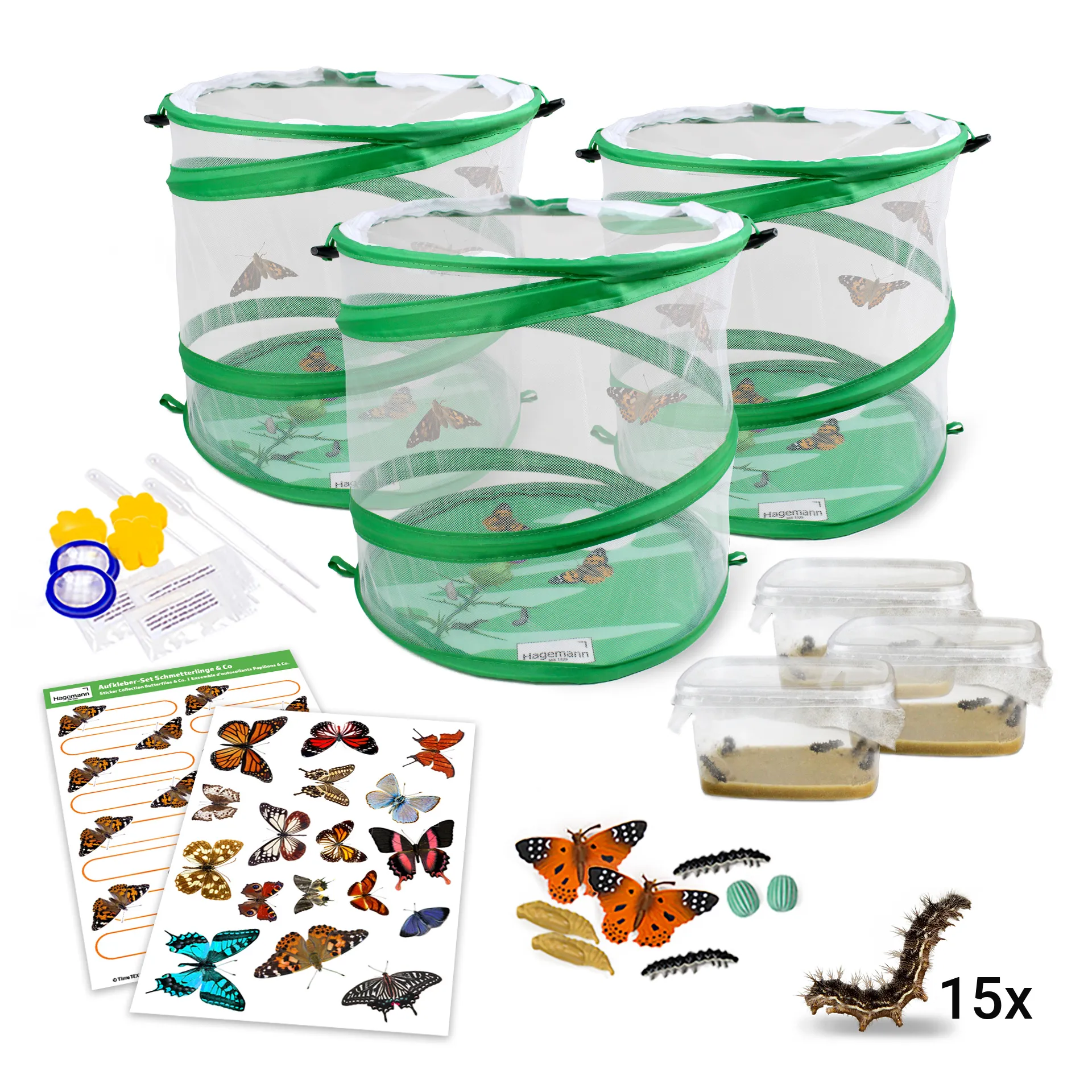 Hagemann Gruppenprojektset Schmetterlinge (15 Raupen)