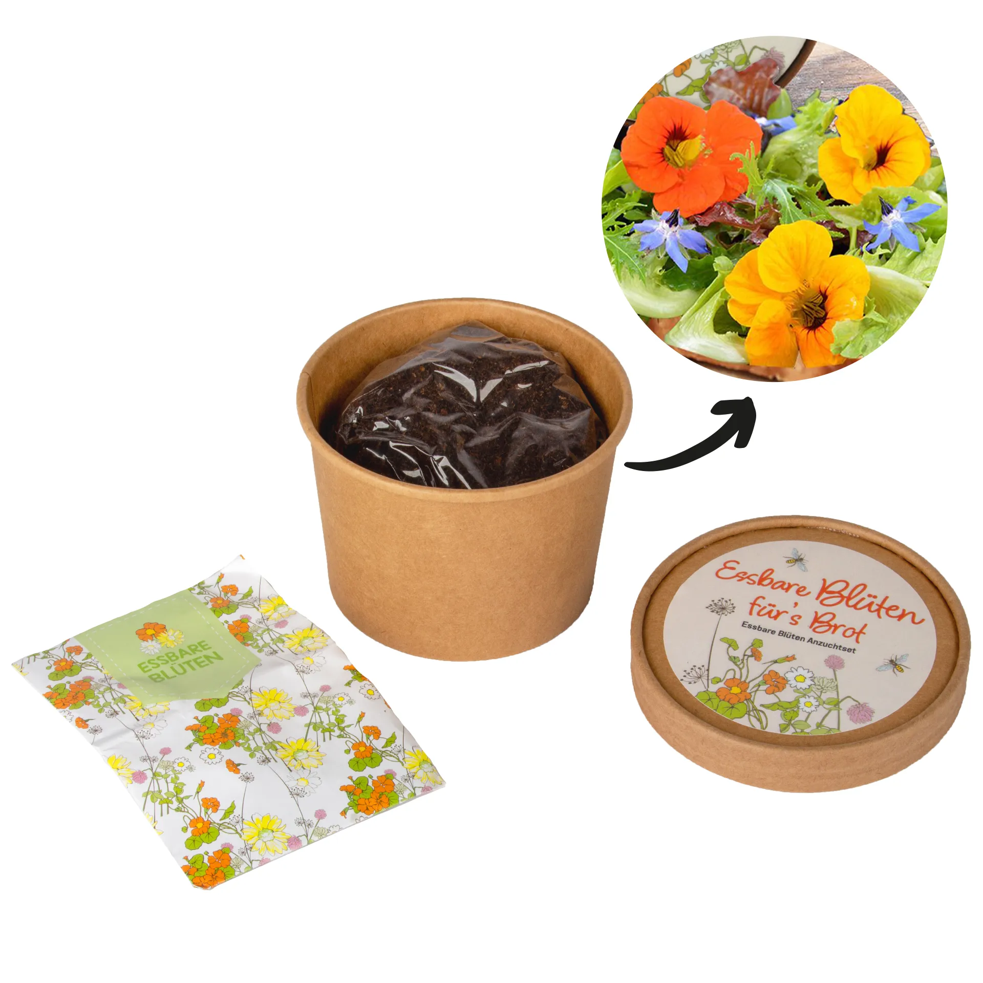 Zuchtset Butterbrot-Blüten