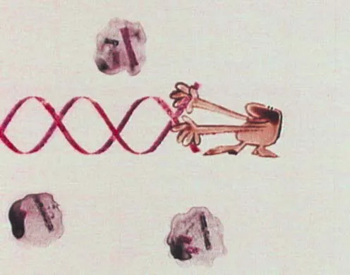 DVD-Lehrfilm Abenteuer genetischer Code