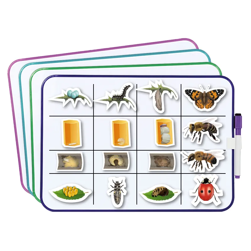 Lebenszyklus-Lernset Schmetterlinge & Co