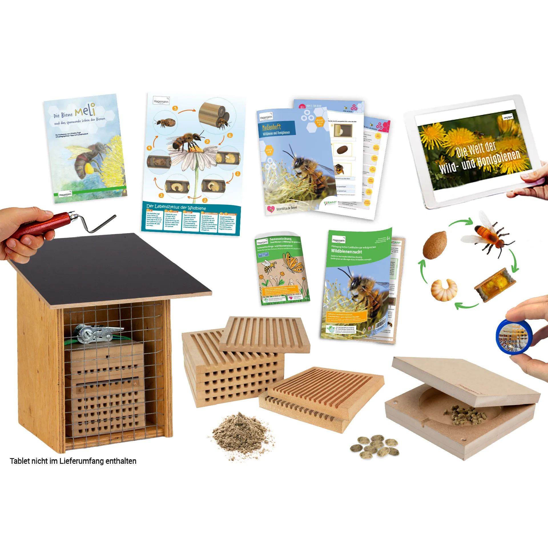 Hagemann Gruppenprojektset Wildbienen, Rote Mauerbiene