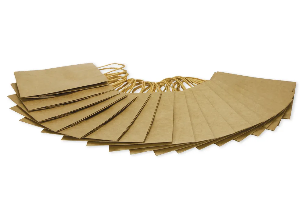 Papiertüten mit Henkel, 16x12x5 cm, 20 Stück