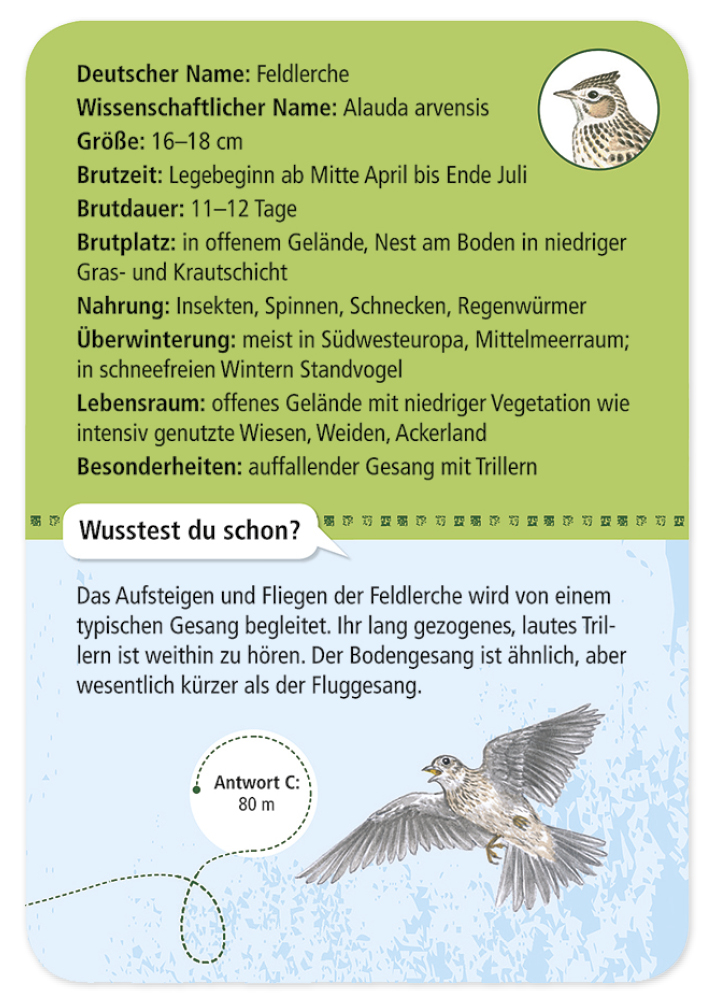 50 Heimische Vögel entdecken und bestimmen