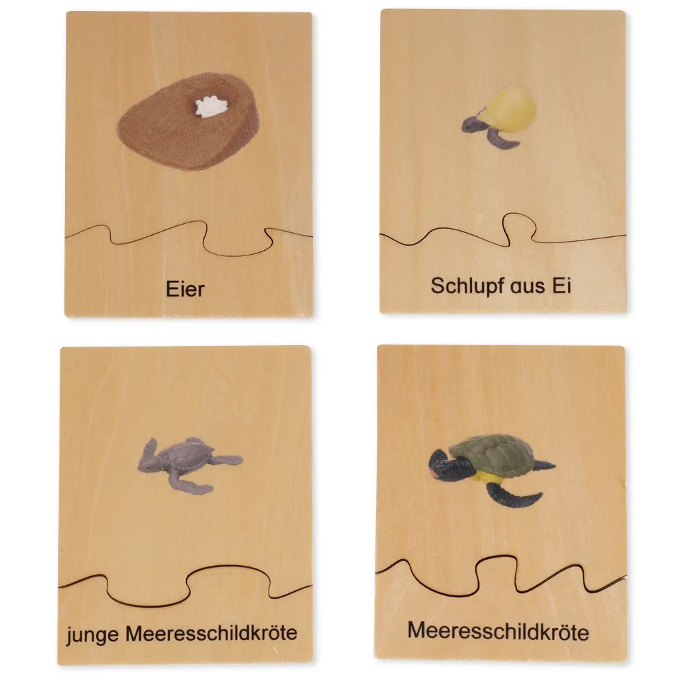 TimeTEX Lebenszyklus einer Schildkröte, in Holzbox "Montessori Premium"