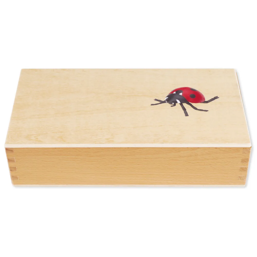 TimeTEX Lebenszyklus eines Marienkäfers, in Holzbox "Montessori Premium"