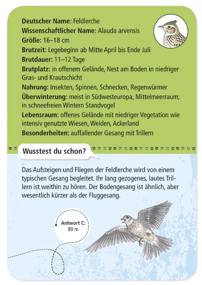 50 Heimische Vögel entdecken und bestimmen