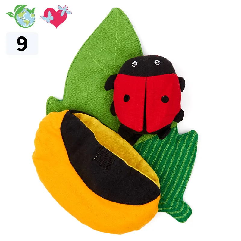 Wendepuppe Lebenszyklus Marienkäfer, 4-tlg 