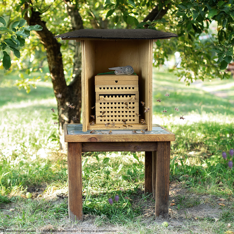 Bienen- und Hummellockstoff