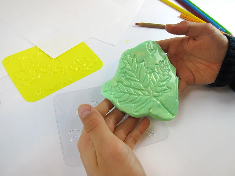 Natur-Rubbelplatten Insekten (16-tlg.)