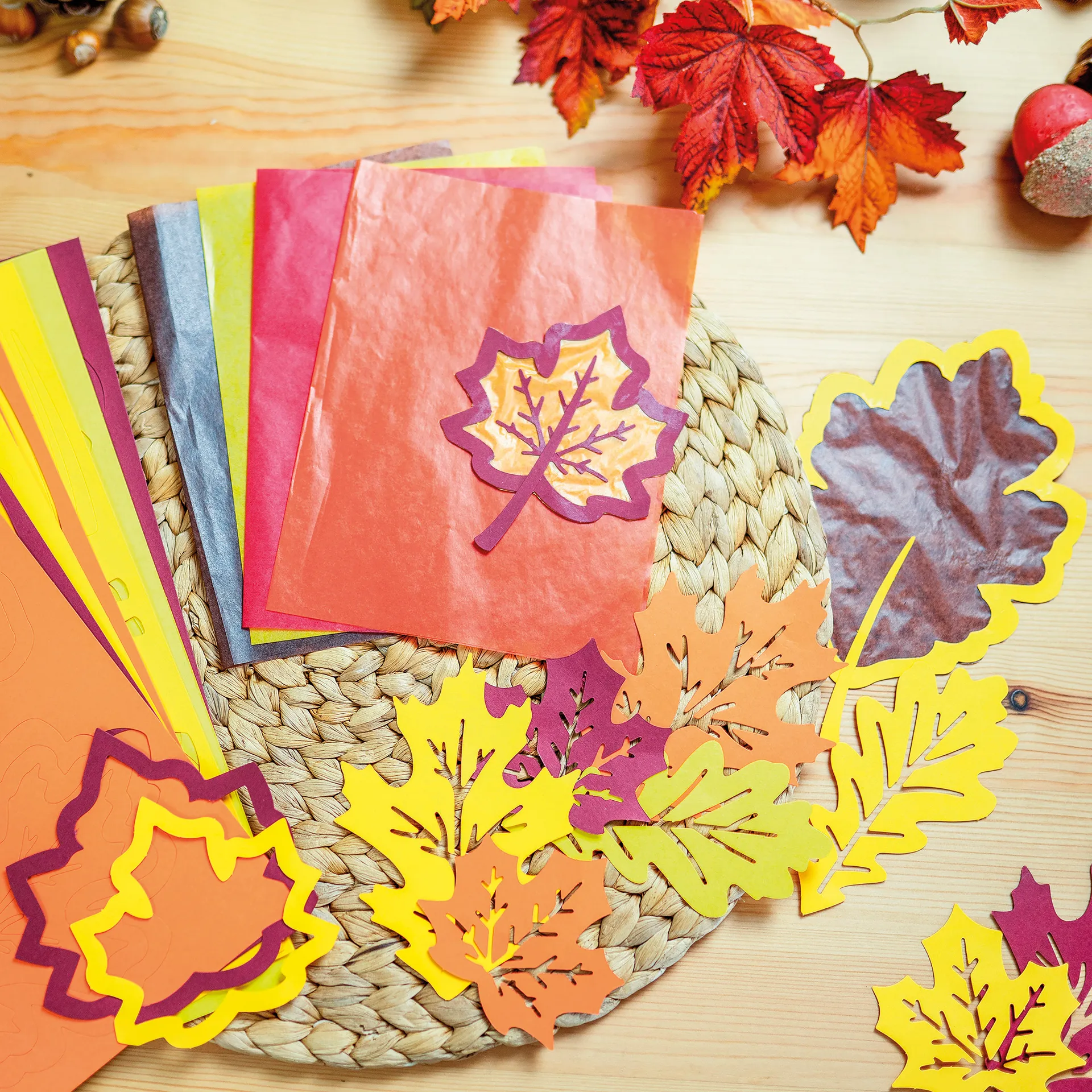 Fensterbilder "Blätter", 36 Stück