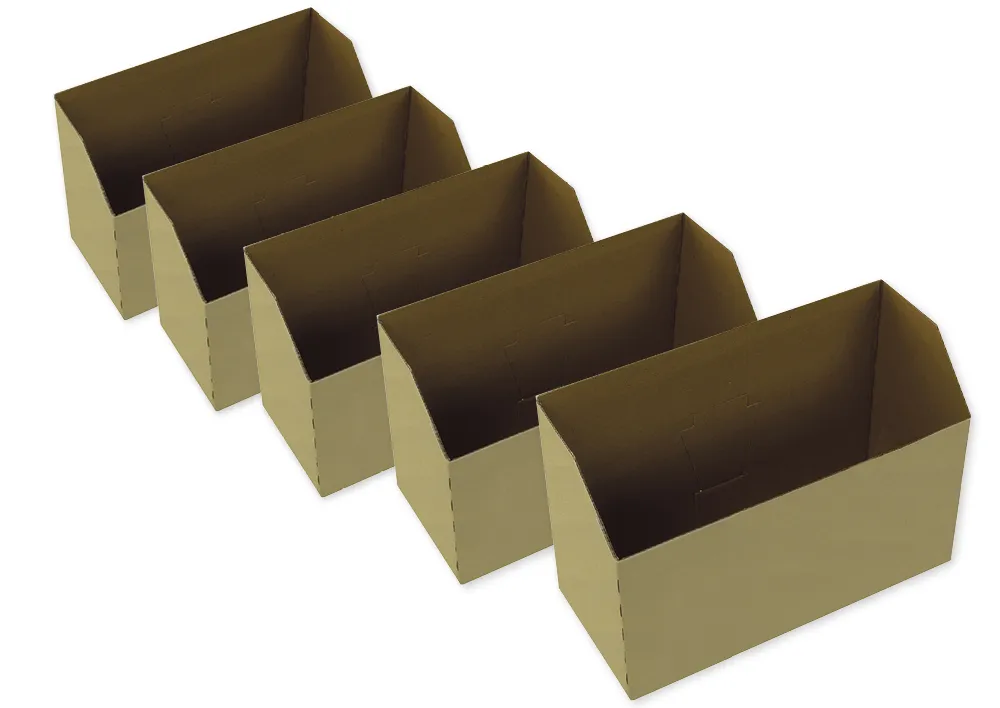 Set Natura-Karteikasten aus Pappe A5, nach vorne abfallend, planliegend, 5 Stück