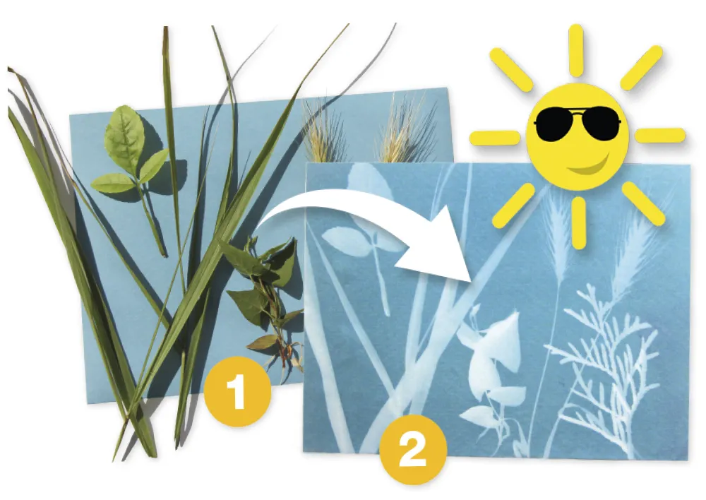 Foto-Solarpapier (40 Blatt)