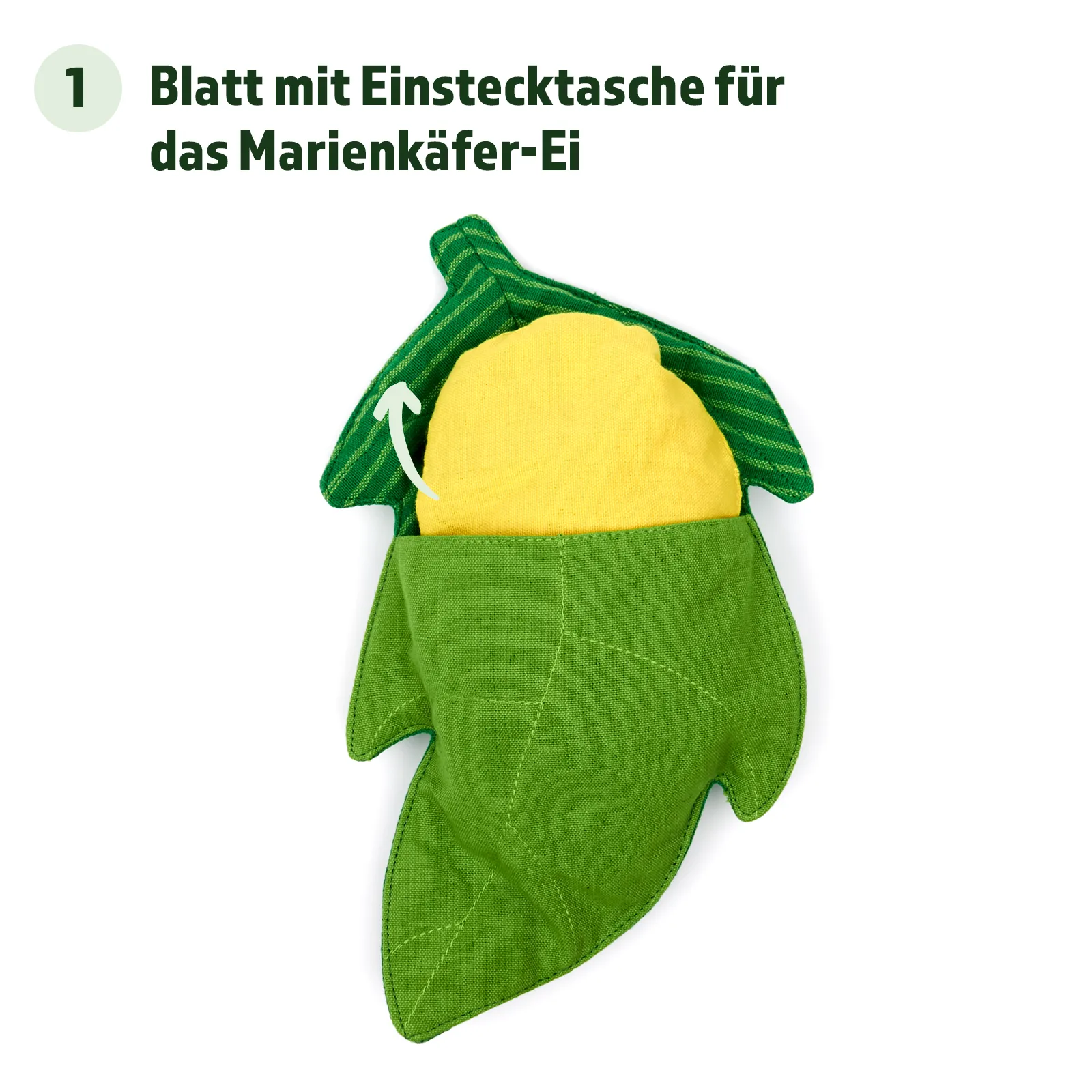 Wendepuppe Lebenszyklus Marienkäfer, 4-tlg 