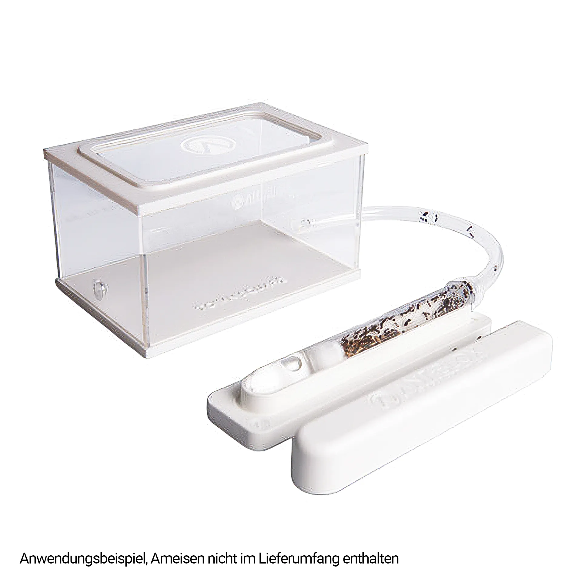 Hagemann Formicarium für Ameisenstaat