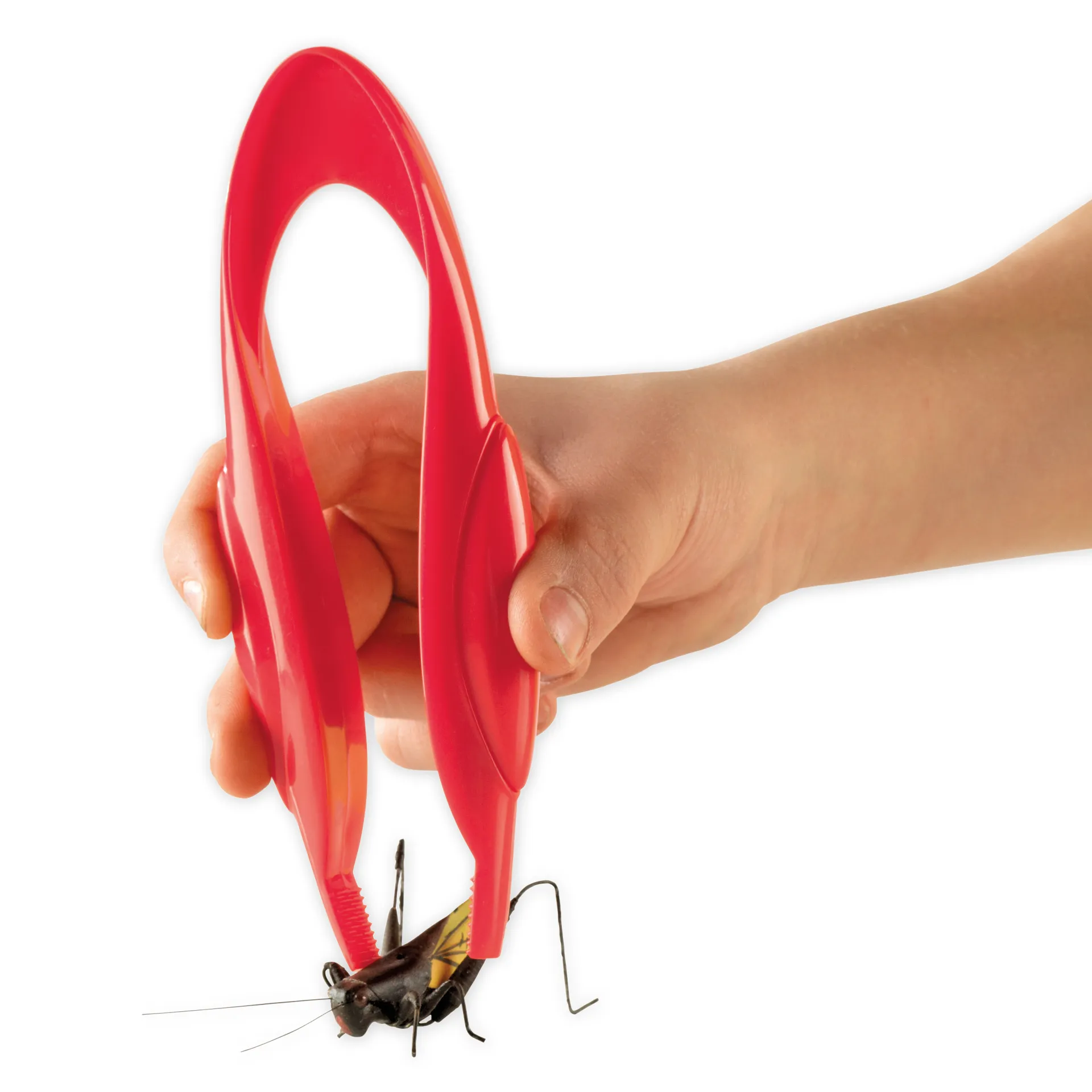 Hagemann Jumbo-Pinzetten