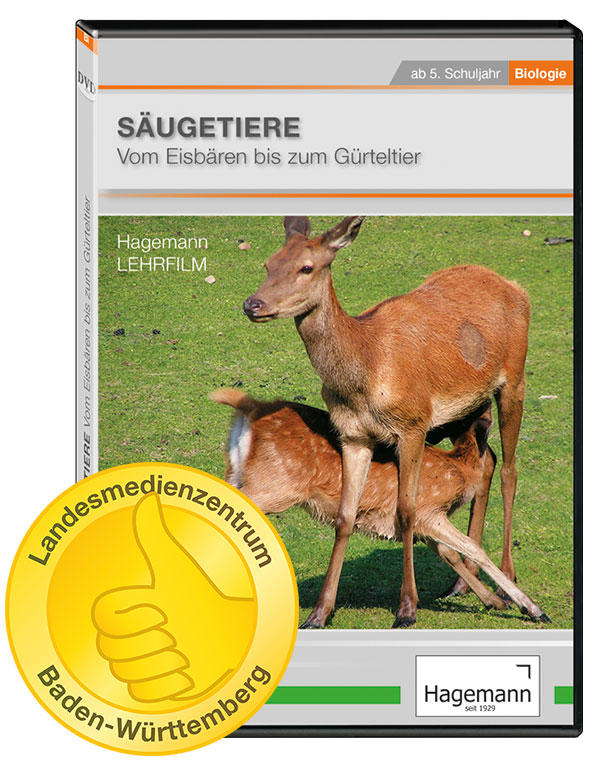 DVD-Lehrfilm Säugetiere